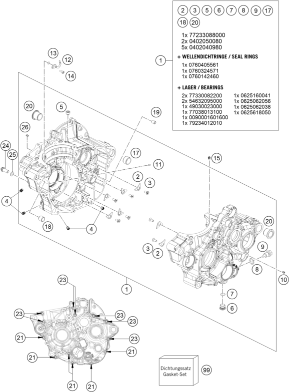 CARTER MOTEUR POUR FE 250 2025 EU